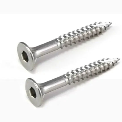 Two metal screws on a white background