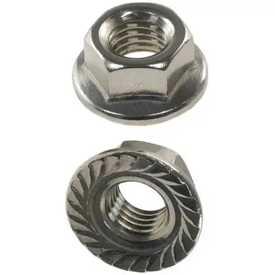 Two stainless stgeel nuts on a white background