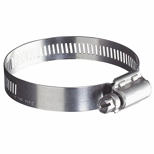 Metal hose clamp on a white background