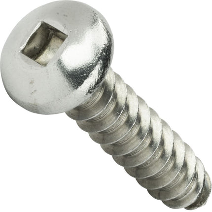 Metal screw on a white background