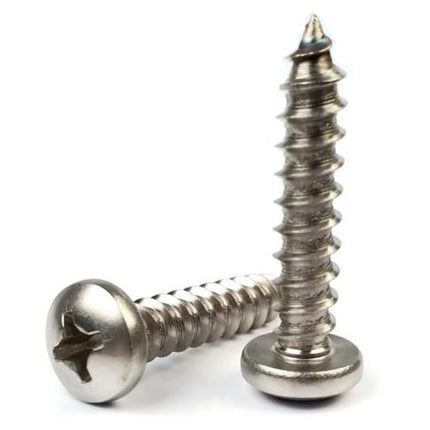 Two metal screws on a white background