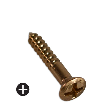 Bronze screw on a white background