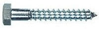 1/2 X 3 HEX LAG SCREW 18-8 SS